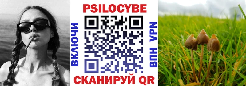 Галлюциногенные грибы Magic Shrooms  где купить наркотик  Галич 